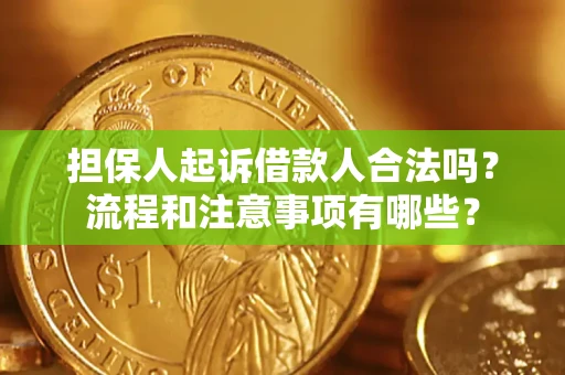 武汉担保人起诉借款人合法吗？流程和注意事项有哪些？