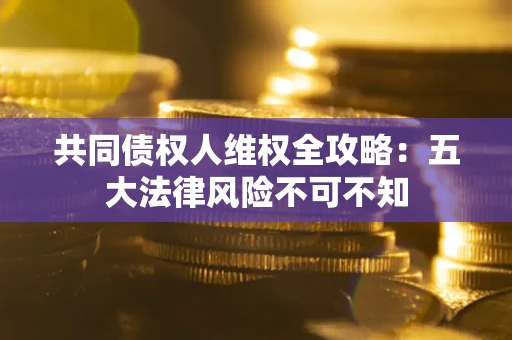 武汉共同债权人维权全攻略：五大法律风险不可不知