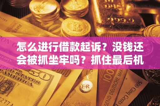 武汉怎么进行借款起诉？没钱还会被抓坐牢吗？抓住最后机会！