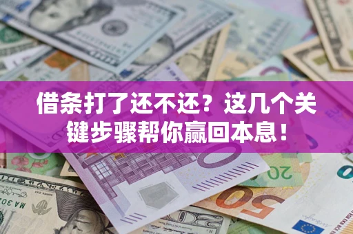 武汉借条打了还不还？这几个关键步骤帮你赢回本息！