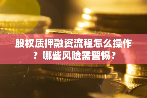 武汉股权质押融资流程怎么操作？哪些风险需警惕？
