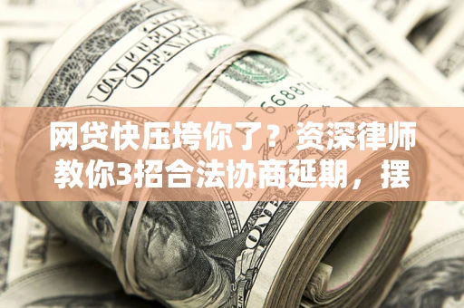 武汉网贷快压垮你了？资深律师教你3招合法协商延期，摆脱暴力催收！
