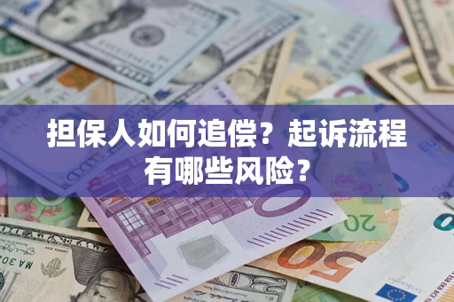 武汉担保人如何追偿？起诉流程有哪些风险？