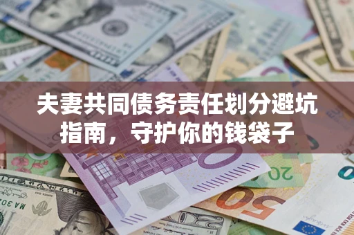 武汉夫妻共同债务责任划分避坑指南，守护你的钱袋子