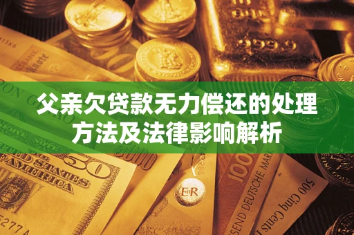 武汉父亲欠贷款无力偿还的处理方法及法律影响解析