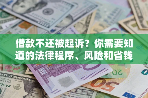 武汉借款不还被起诉？你需要知道的法律程序、风险和省钱技巧